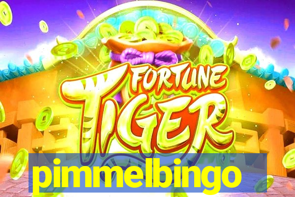 pimmelbingo