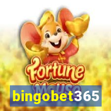 bingobet365