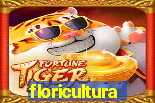 floricultura cruzeiro novo