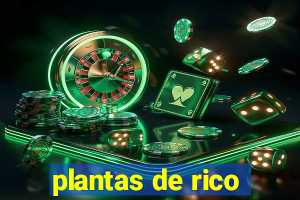 plantas de rico