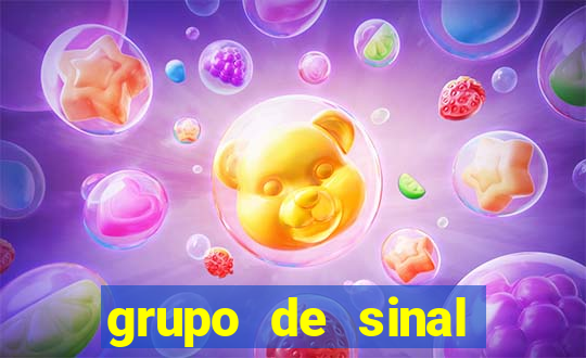 grupo de sinal fortune tiger