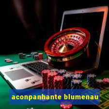 aconpanhante blumenau