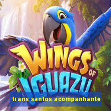 trans santos acompanhante