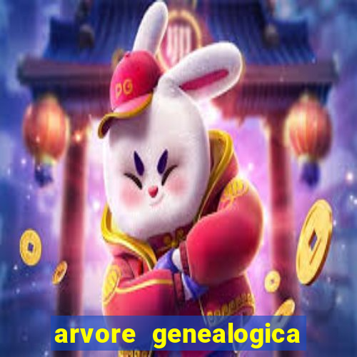 arvore genealogica dos gracie