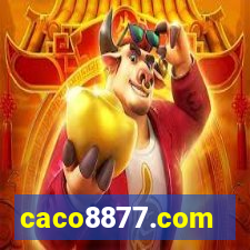 caco8877.com