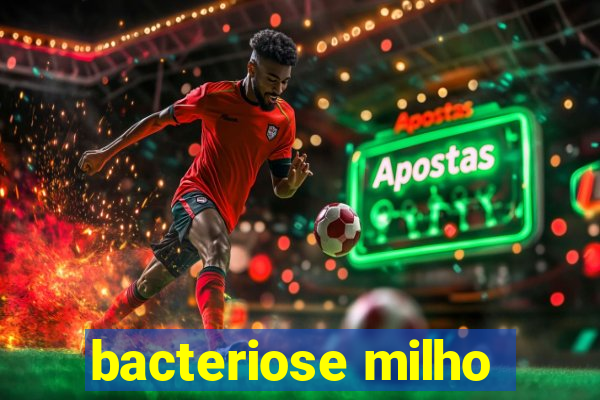 bacteriose milho