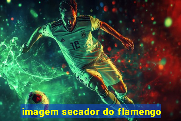 imagem secador do flamengo