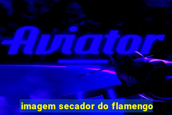 imagem secador do flamengo