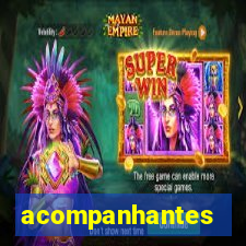 acompanhantes chamada de video