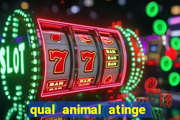 qual animal atinge 230 decibeis