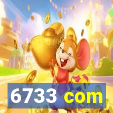 6733 com