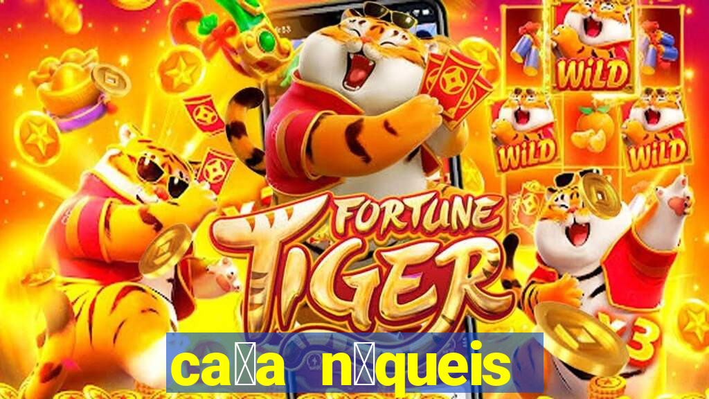 ca莽a n铆queis fortune tiger