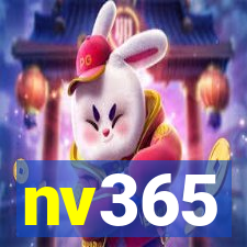 nv365