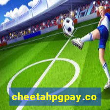 cheetahpgpay.com