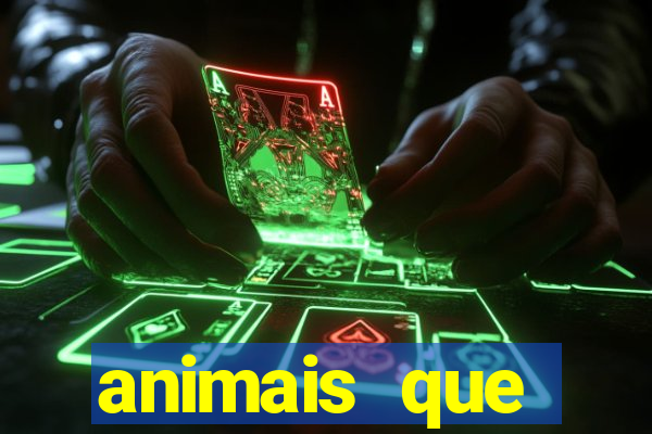 animais que produzem l茫