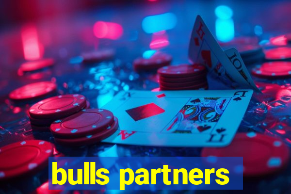 bulls partners