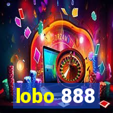 lobo 888