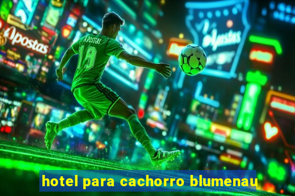 hotel para cachorro blumenau