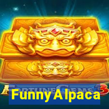 FunnyAlpaca