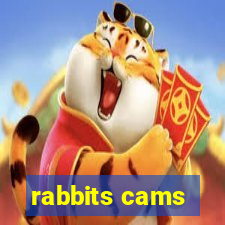 rabbits cams