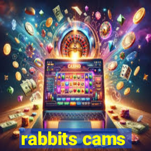 rabbits cams