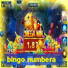 bingo numbera