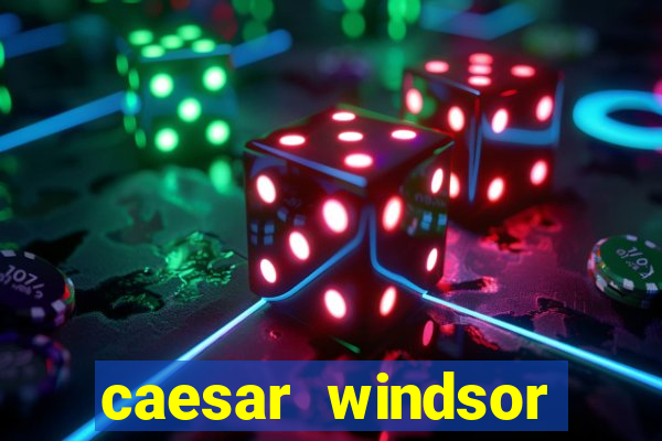 caesar windsor casino hotel