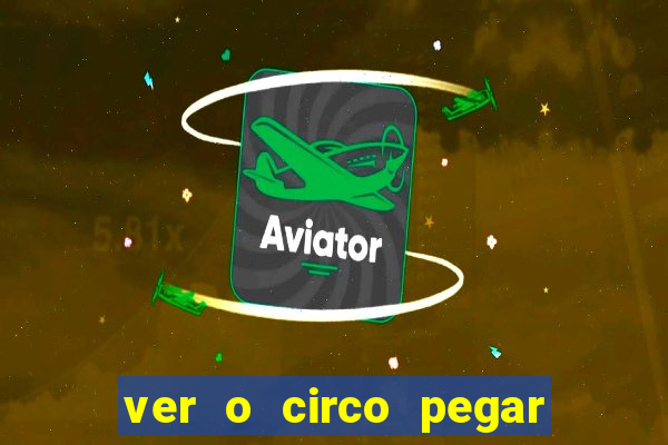 ver o circo pegar fogo significado