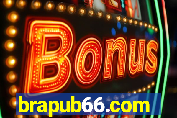 brapub66.com