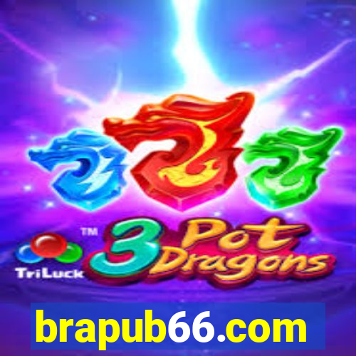 brapub66.com