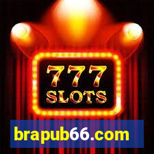 brapub66.com