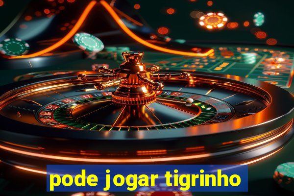 pode jogar tigrinho