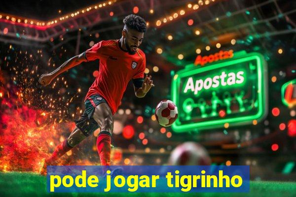 pode jogar tigrinho