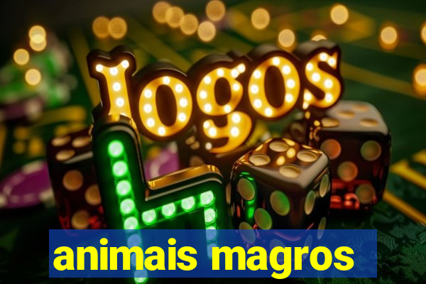 animais magros