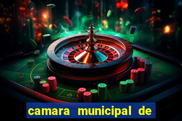 camara municipal de cachoeira dourada go