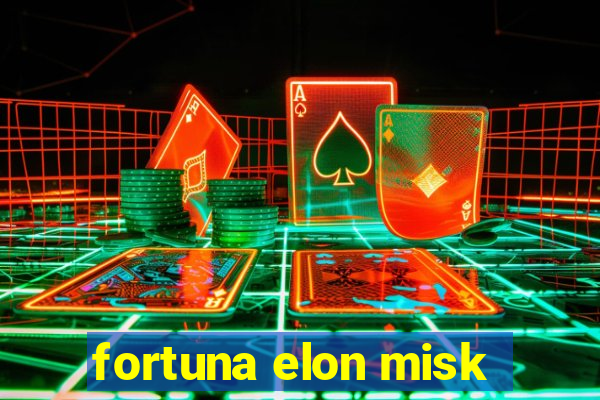 fortuna elon misk