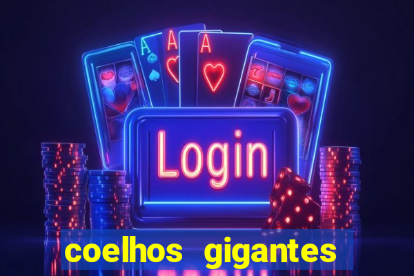 coelhos gigantes onde comprar