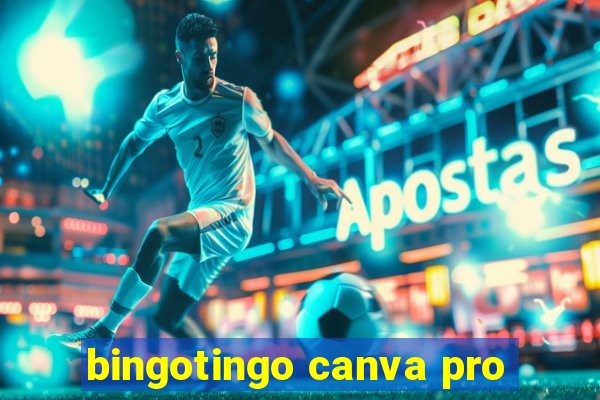 bingotingo canva pro