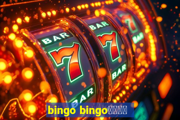 bingo bingo線上投注