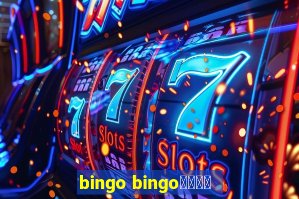 bingo bingo線上投注