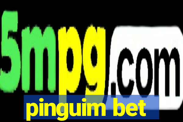 pinguim bet