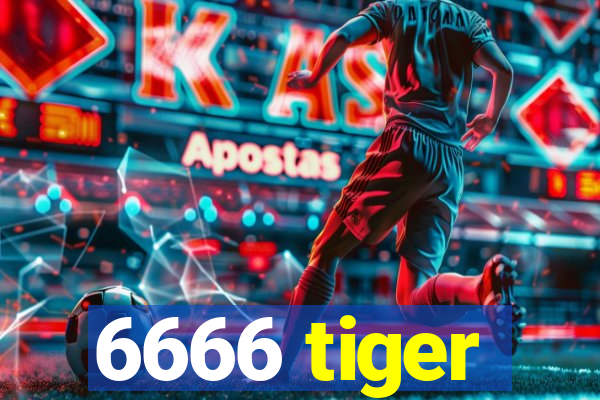 6666 tiger