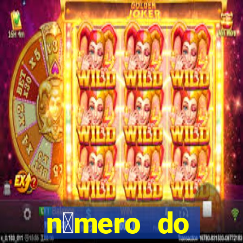 n煤mero do bate-papo da vivo