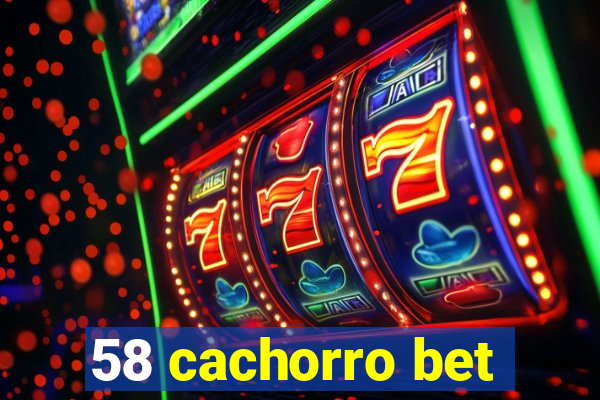 58 cachorro bet