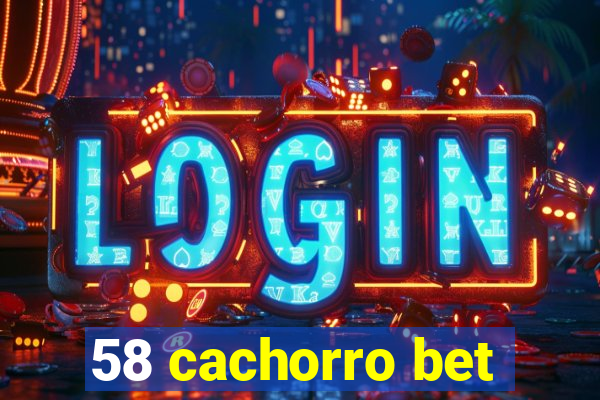 58 cachorro bet