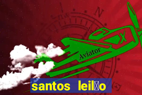 santos leil茫o passo fundo