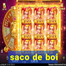 saco de boi