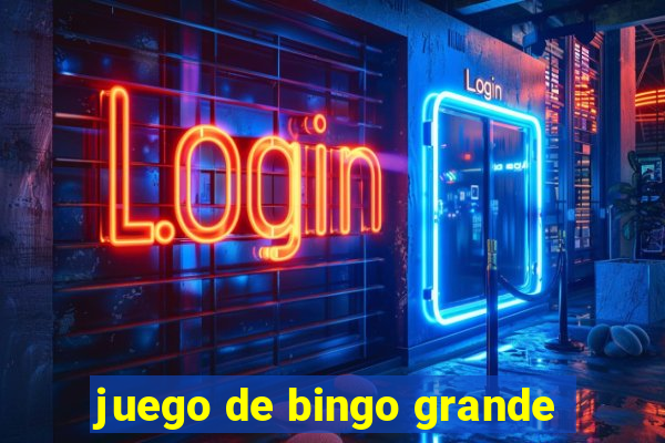 juego de bingo grande