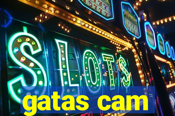 gatas cam