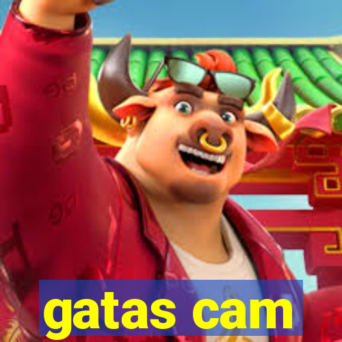 gatas cam